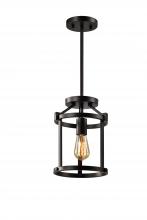  LIT6230BK - 8" 1X60 W Pendant In Black Finish